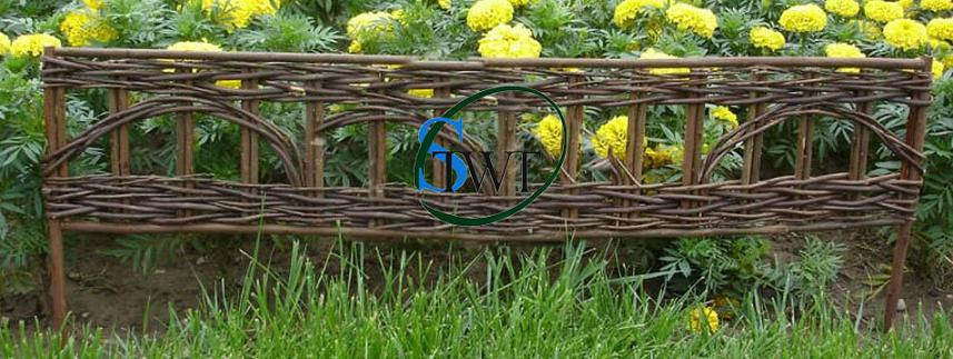 Willow Border