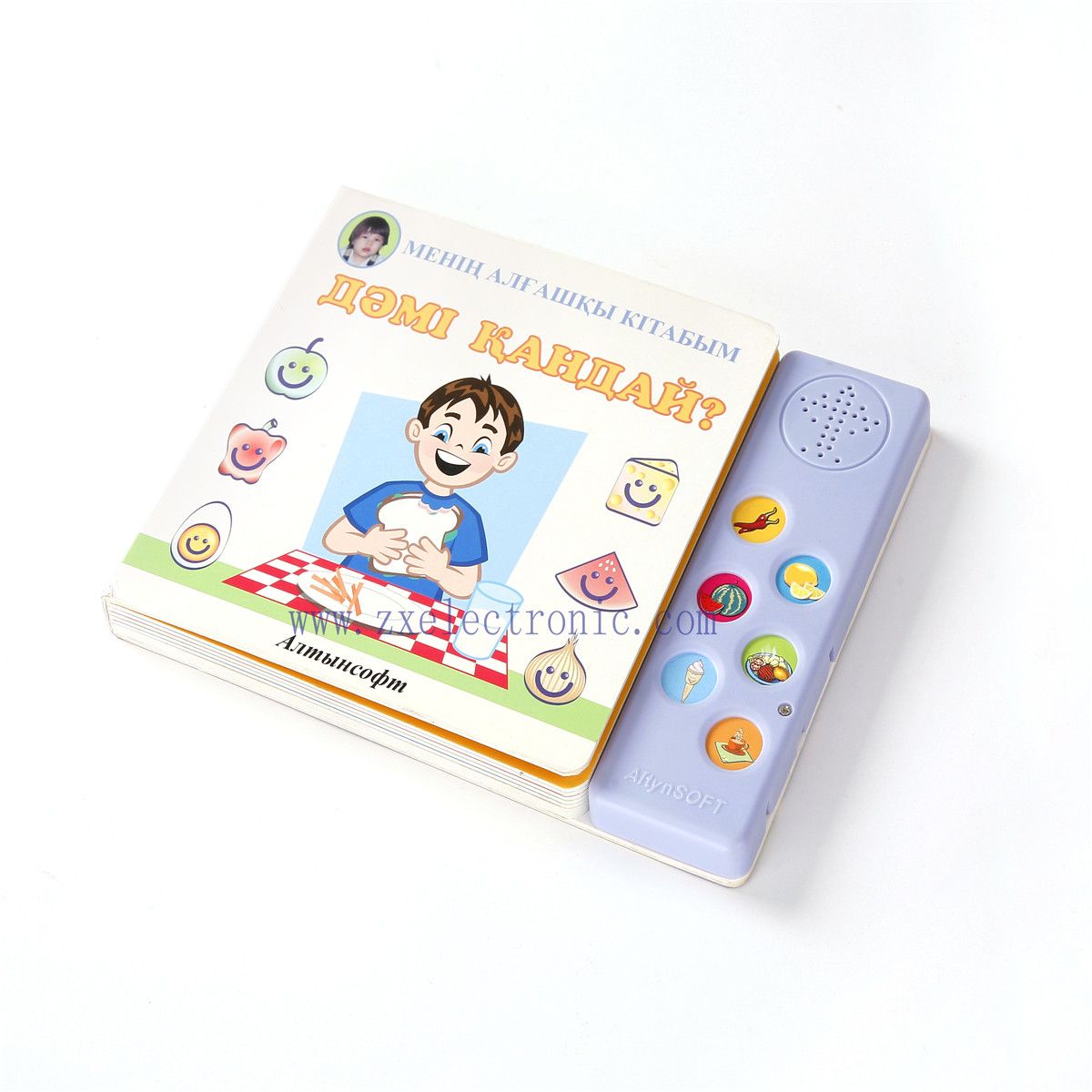Sound Module for Books for Children Eduation