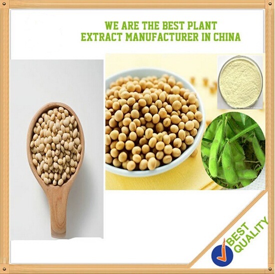 Non-Gmo Pure Natural Soybean Extract 3%-90%