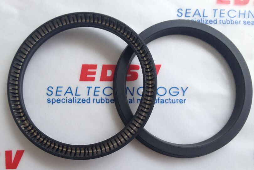 Spring Energized Seal