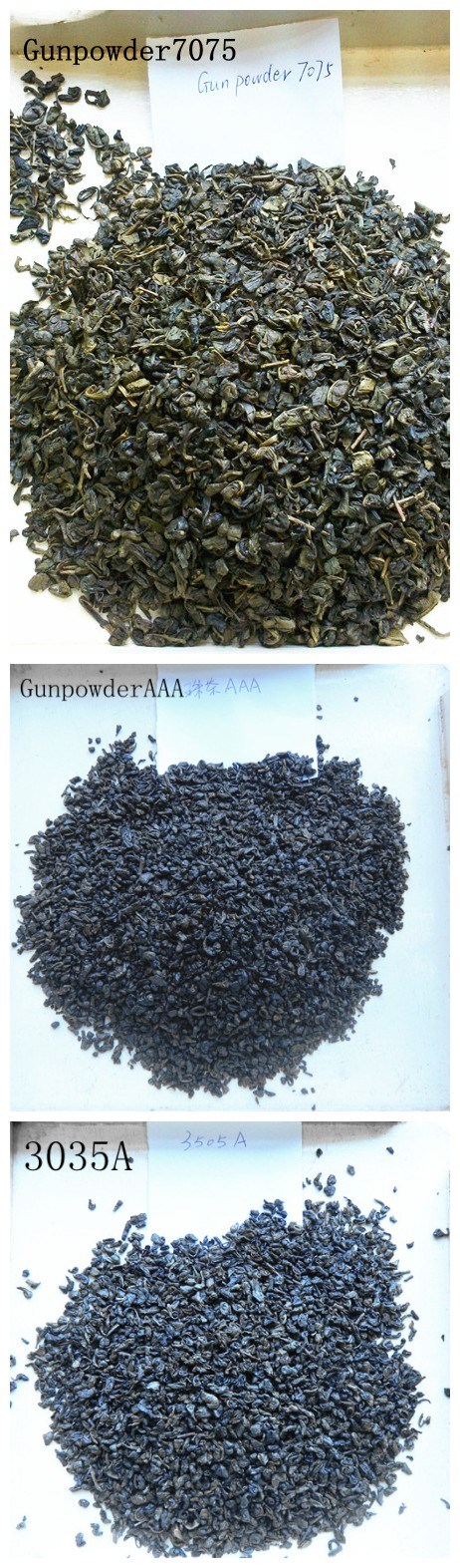 The Most Popular Green Tea of Africa, West Asia and East Europe Chinese Speciality Health Tea Lowering Blood Pressure Gunpowder 3505