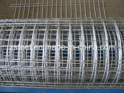 Galvanized Welded Wire Mesh of 1/2 Mesh