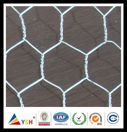 Hexagonal Wire Netting / Animal Netting (20years factory)