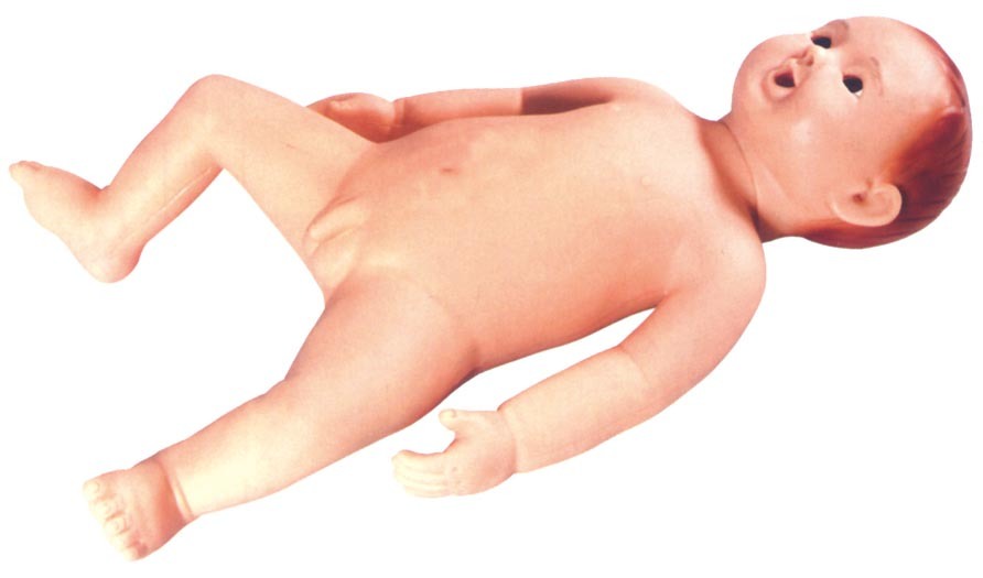 Medical and Teaching Model-Advanced Infant Care Model