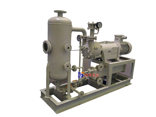 2bw1131 Single Stage Water Ring Vacuum Pump for Vacuum Concentration, Vacuum Distilling