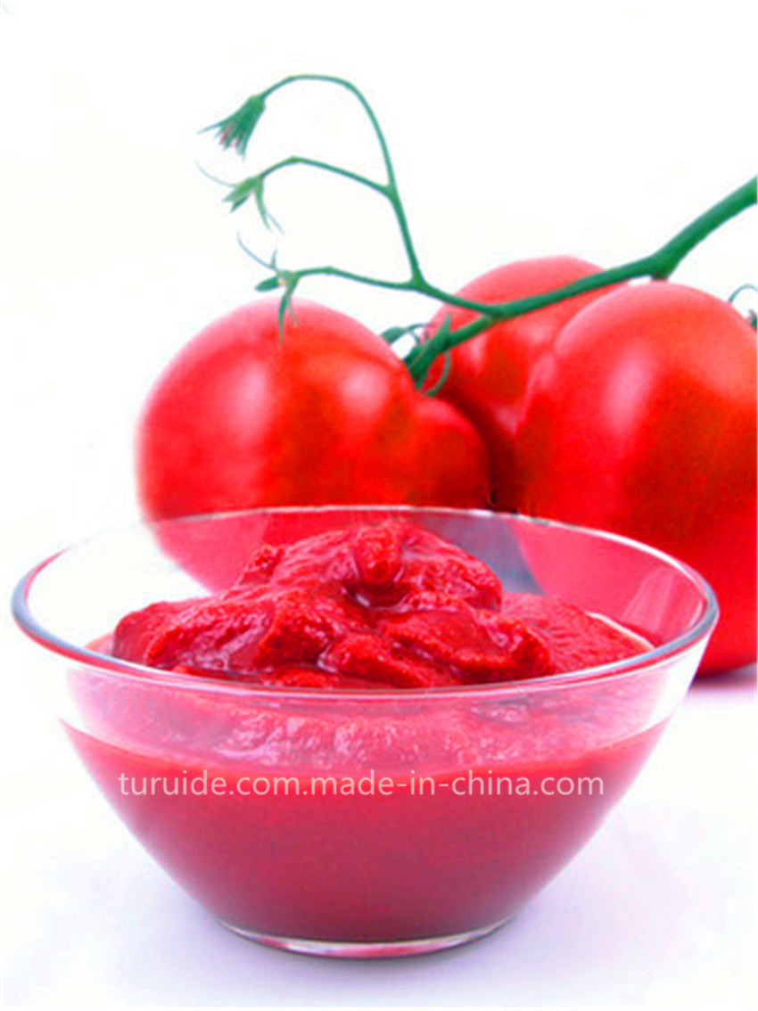 36-38% Tomato Paste From China Cold Break
