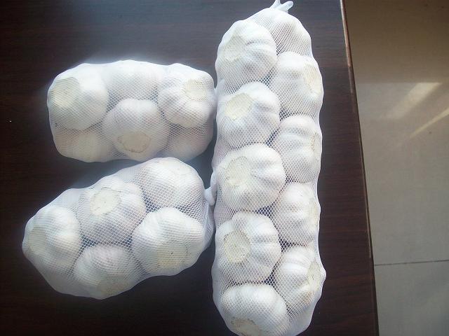 Export New Crop Fresh Good Quality Pure White Garlic (4.5/5.0)