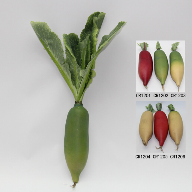 Artificial Vegetable, Imitative Polyfoam Radish (CRH04-3A-1202)