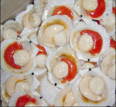Half-Shell Scallops