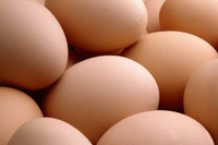 Efficient Multi-Primes Egg