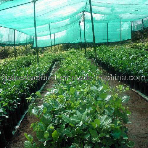 Horticultural Shade Netting
