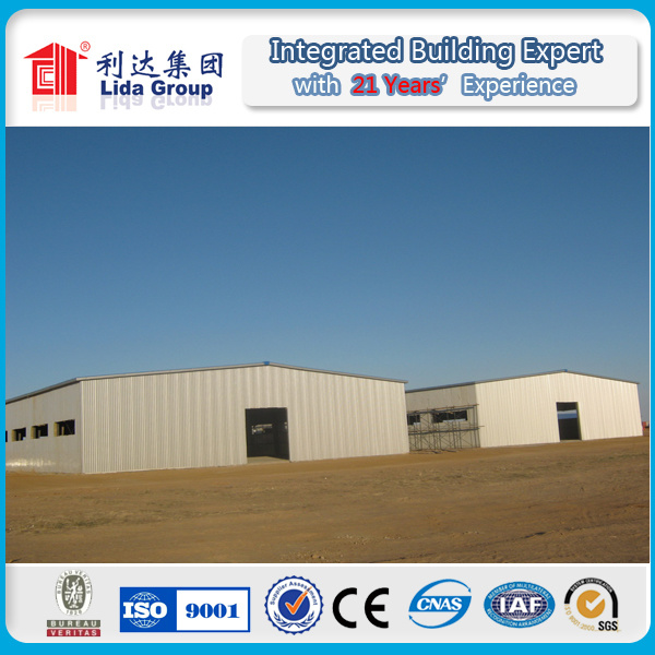 Light Steel Structure Warehouse/Workshop Building