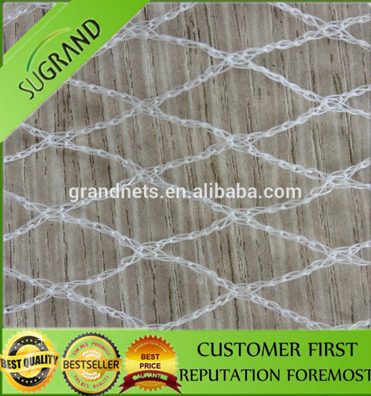Anti Bird Net Bird Netting for Sale Bird Net Trap