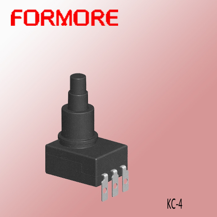 Torch Light Switch
