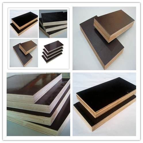 Poplar Core, WBP Glue, Film Faced Plywood/Shuttering Plywood Manufacturer