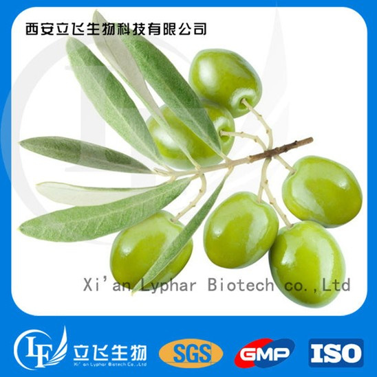 Olive Leaf Extract Hydroxytyrosol