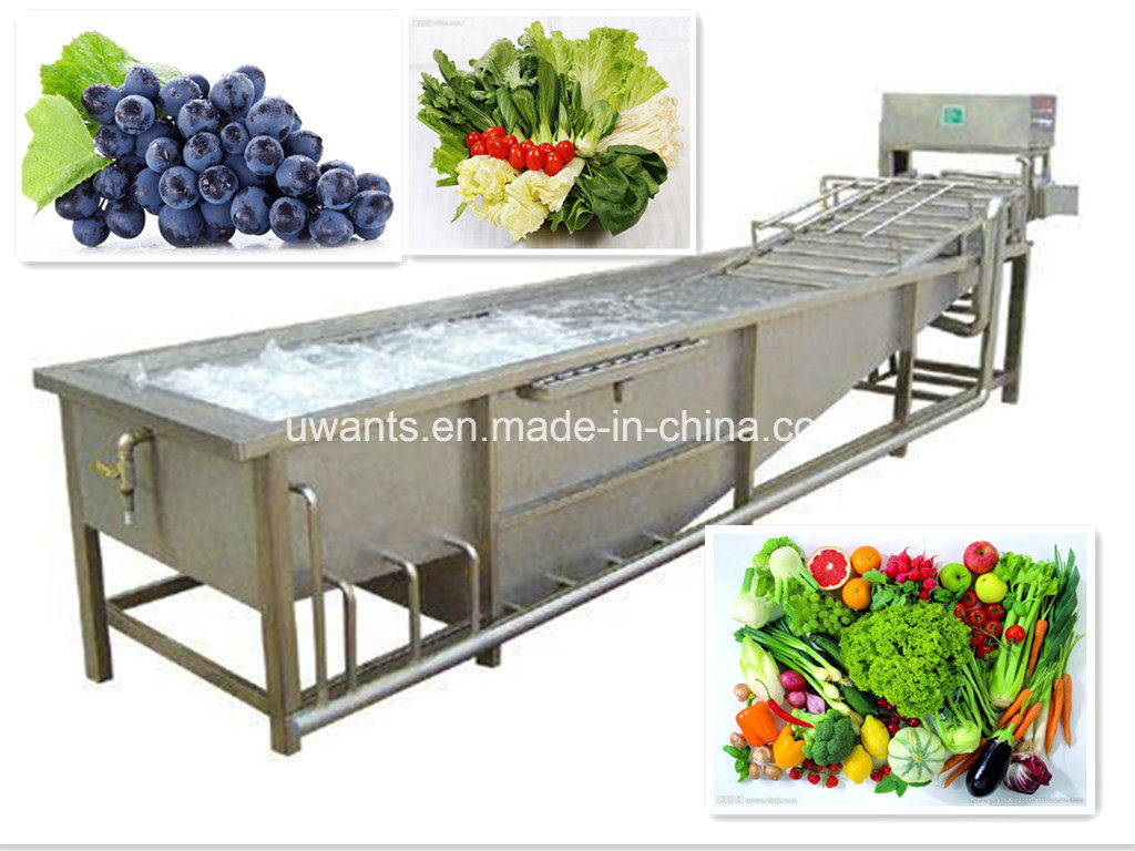 Multi-Function Vegetable Fruit Washing Machine