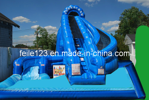 Inflatable Water Slide with Pool, Inflatable Water Slide (FL-S225)