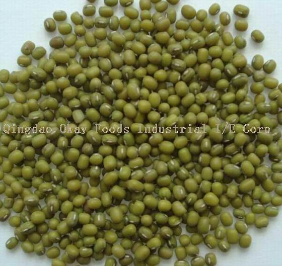Mung Bean