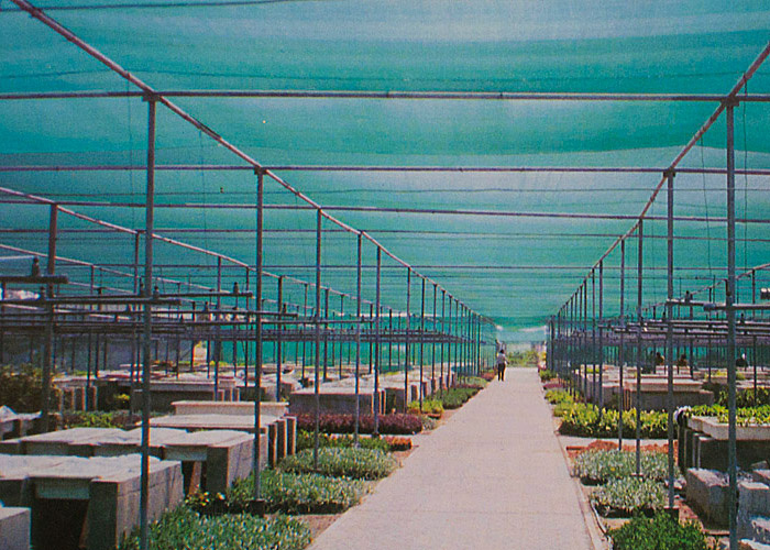 30mesh Agricultural Anti-Insect Netting