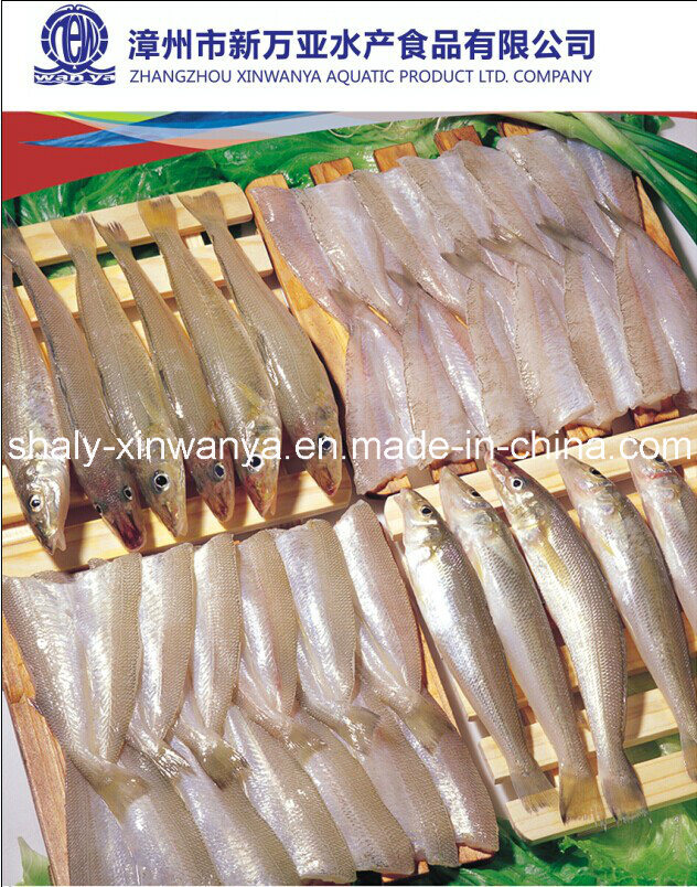 Chinese Frozen Seafood for Sale