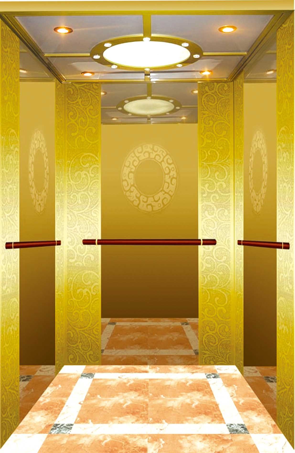 6 Persons Passenger Elevator