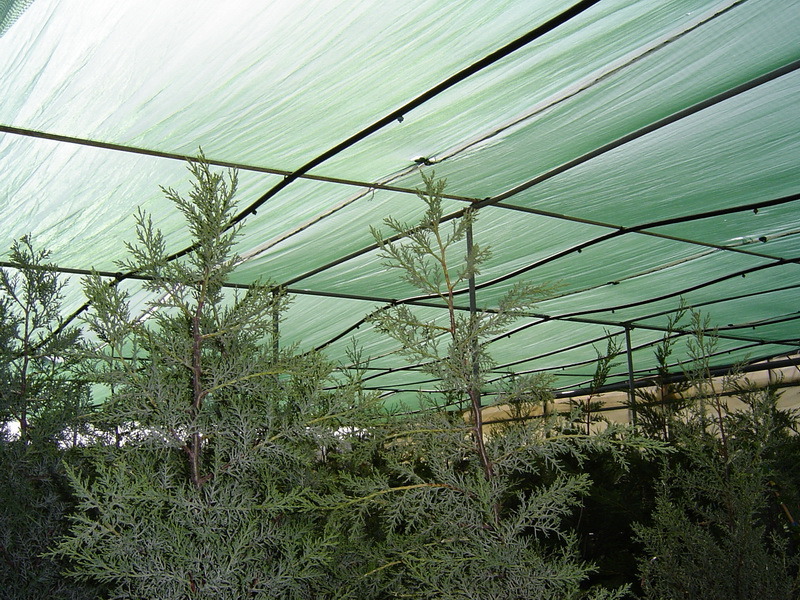 Agricultural Shade Netting
