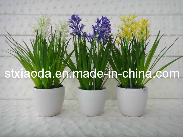 Artificial Plastic Flower Bonsai (XD13-152)