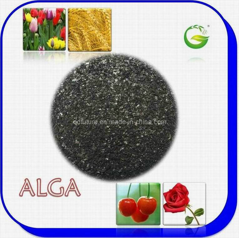 Seaweed Extract Organic Fertilizer (ALGA WS100)