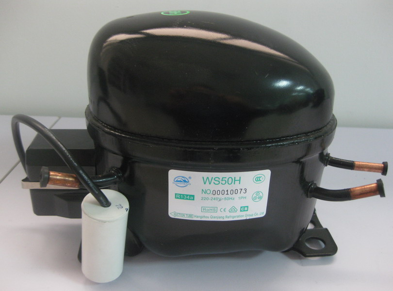 Wansheng R134A Low Back Pressure (LBP) Compressor (WS50H)