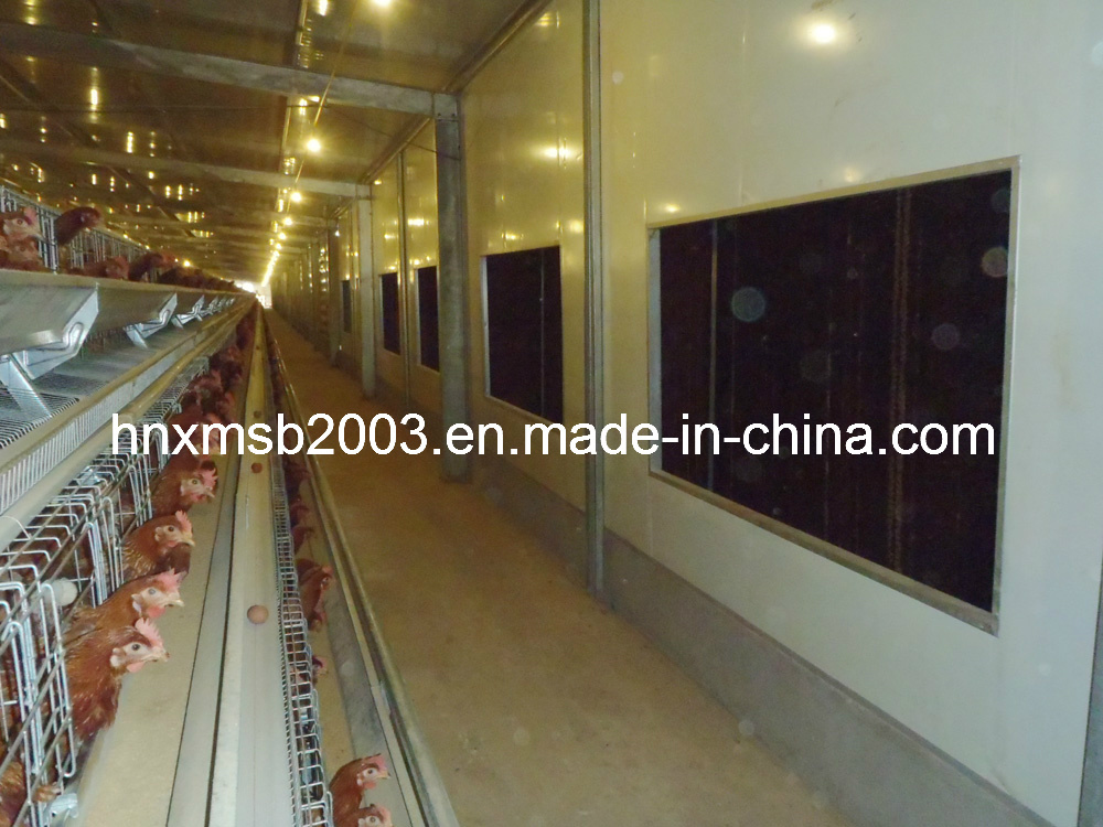 Automatic Poultry Equipment -Aframe