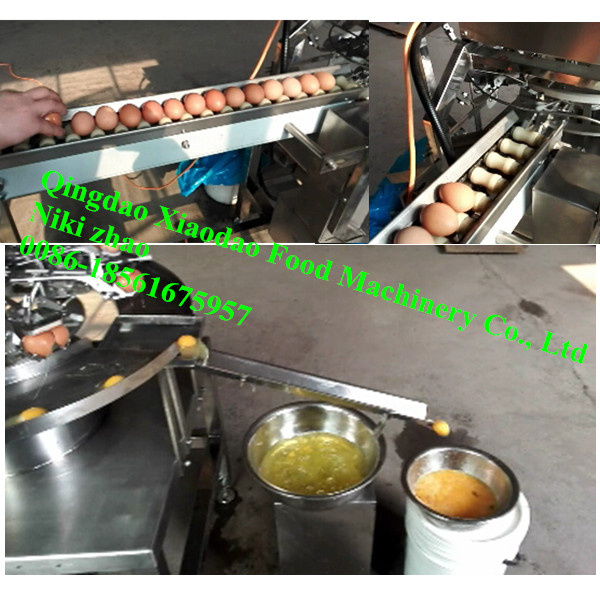 Automatic Egg Yolk and White Separator Egg Breaking Machine