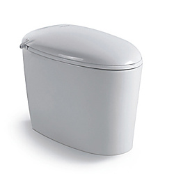 Sanitary Ware Ceramic Intelligent Toilet (YB0006)