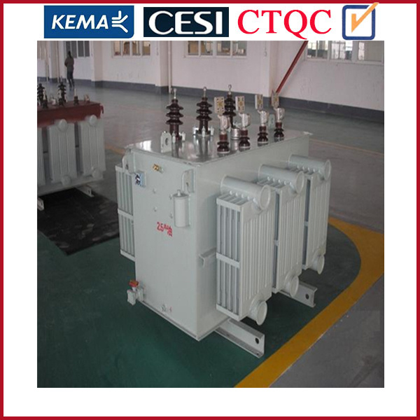 242kv 40mva Three Phase Two Winding No-Load-Tap-Changing Power Transformer