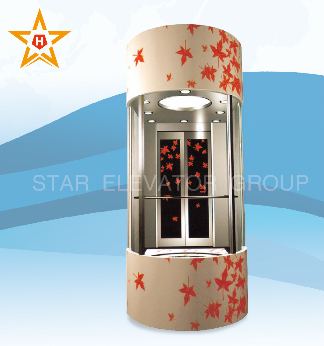 Outdoor Residential Sightseeing Glass Elevator Manufacturer