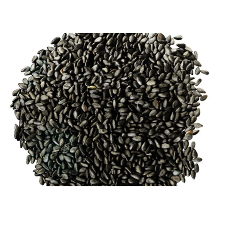 Pure Black Sesame for Sell