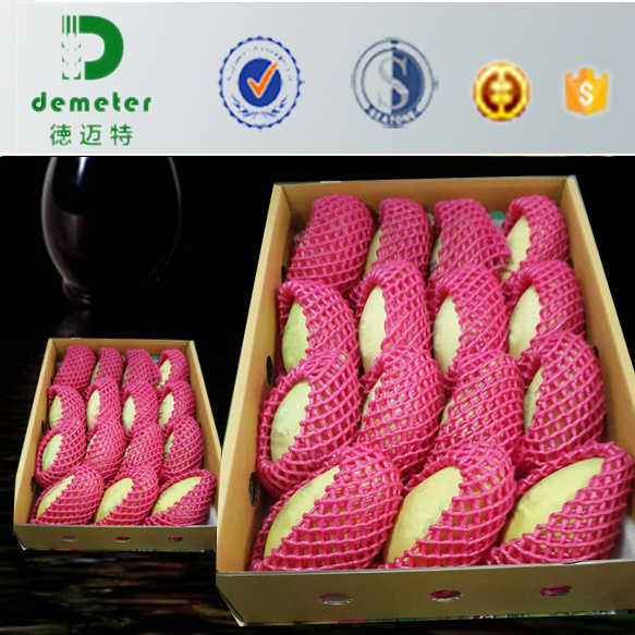 Environment Friendly EPE Foam Net for Fruit and Vegetable