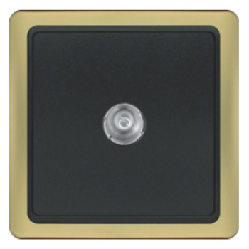 Socket