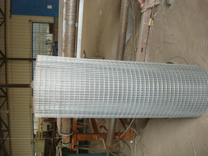 Galvanized Wire Mesh