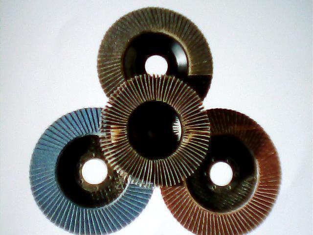Flap Disc
