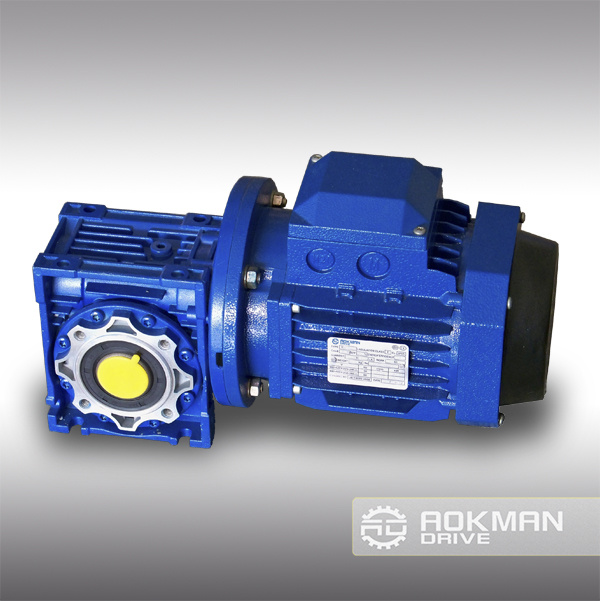Chinese Industrial Power Transmission Mechanical RV Series Worm Motor Gearbox