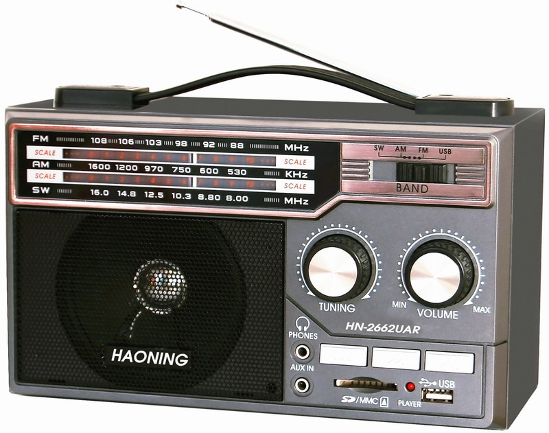 Portable Radio with USB/SD and Rechargeable Battery and Wooden Cabinet (HN-2662UAR)