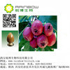 100% Natural Hawthorn Fruit Extract Powder