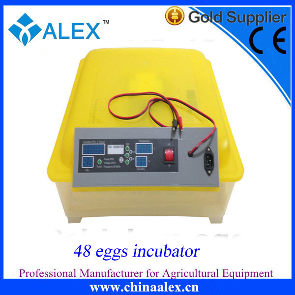 Multifunctional Reptile Egg Incubator Eggs with Great Price