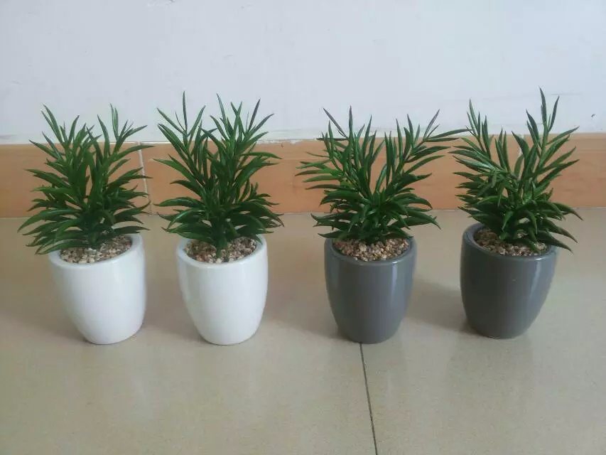 Artificial Plants and Flowers of Succulent Plant Gu-Jys-00039