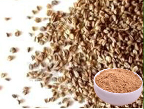 Celery Seed Extract