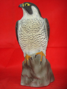 Decoy Eagle