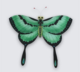 Butterfly Kite -01