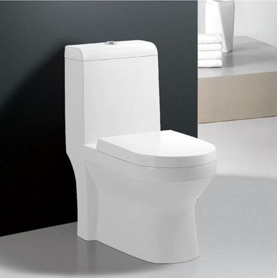 Ceramic Toilet (G-5598)