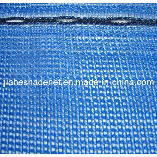 Scaffold Net